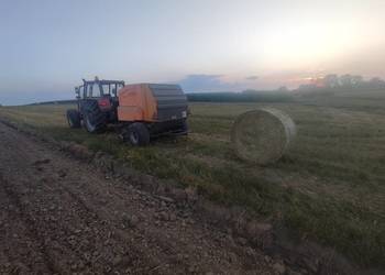 Słoma sucha dla koni