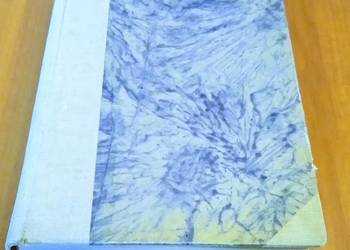 Mroki średniowiecza : obyczaje, przesądy, fanatyzm, okrucieństwa Putek Mroki średniowiecza : obyczaje, przesądy, fanatyzm, okrucieństwa Putek