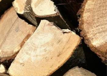 Drewno kominkowe i opałowe