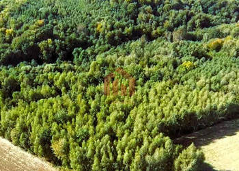 Grunt 15800m2 Gnojnica