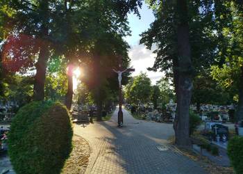 Sprzątanie grobów Cmentarz Wrocław Brochów ulica Brochowska, cennik