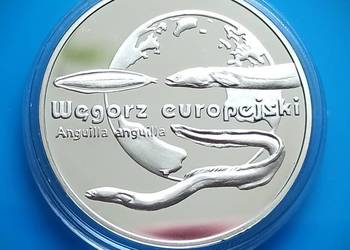 20 zł 2003 Węgorz Europejski