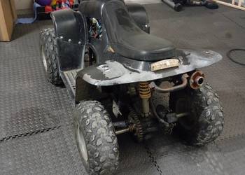 Quad ATV 110