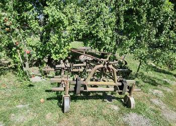 Wielorak pazurki obsypnik dołkownik