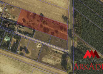Sprzedaż działki Okna 3706m2