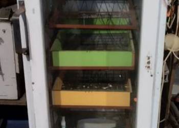 Inkubator 264 jaj kurzych itp