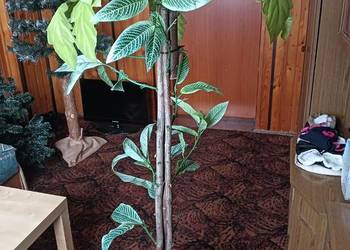 Sprzedam palmę Sztuczną