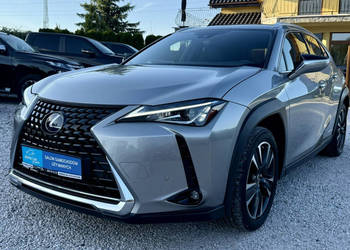 Lexus UX 250h,Hybryda,Gwarancja