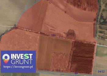 [17,39 ha] przetarg na dzierżawę gruntów rolnych