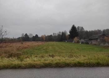 Działka rolna 3,92 ha – Antoniów, pow. opoczyński, woj. Łódzkie