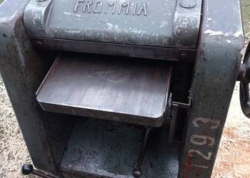 Grubościówka niemiecka Frommia 30