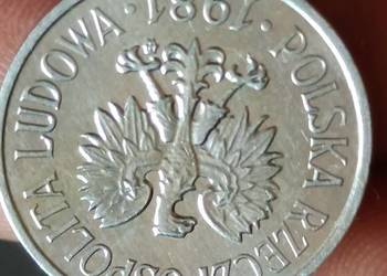 Sprzedam 20 gr 1981 r