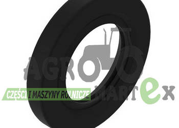 CE17706 USZCZELKA 35x60x8 JD