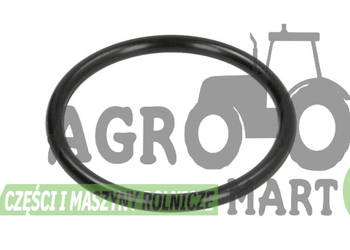 181144A1, 51482063, 28623, 1990663, T342294, CA0028623, 6194405M1 ORING CNH