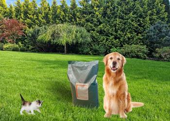 Nawóz organiczny Prosan NK 16-0-4 na trawnik 25 kg