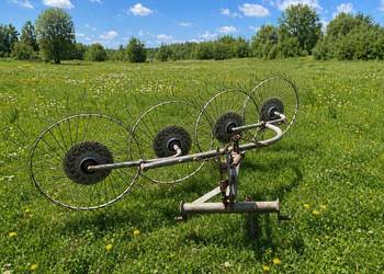 Grabarka zgrabiarka cztero gwieździsta