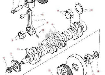 Massey Ferguson Cerea 7272 7274 7276 AL Wał Korbowy Wałek Rozrządu Korbowó…