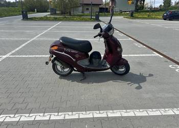 Sprzedam Aprile Qulliver