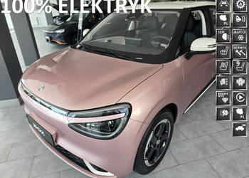 Dongfeng Box 42,3 kWh, 310 zasięg, 8Lat Gwarancji, Kamery 360,