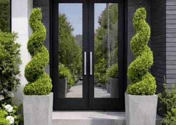 Sztuczny bukszpan jak żywy Premium w doniczce 150 cm roślina