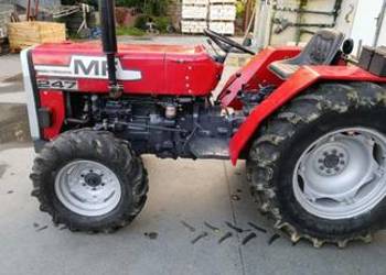 Massey Ferguson 247; sadowniczy; wspomaganie; 255;235;3502.