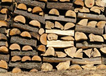 Drewno kominkowe pocięte i połupane