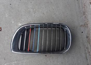 Grill atrapa bmw
