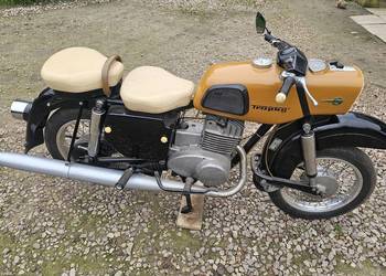 MZ Trophy 250
