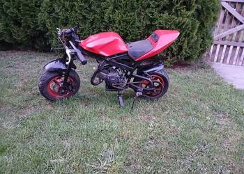 Pocket bike mini scigacz