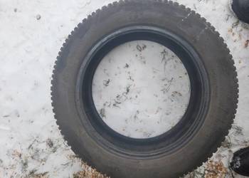 Opony zimowe 195 55 16