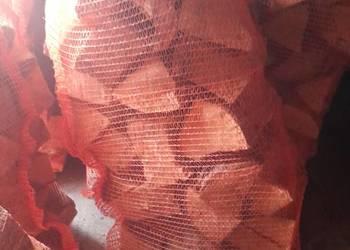 Sprzedam drzewo workowane Olcha