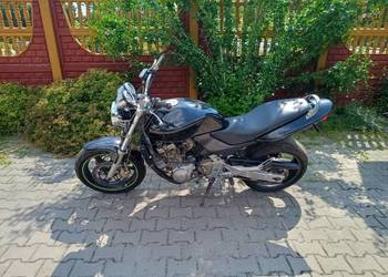 Honda CB 600 Hornet
