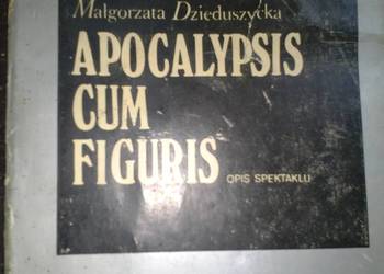 APOCALYPSIS CUM FIGURIS - DZIEDUSZYCKA MAŁGORZATA