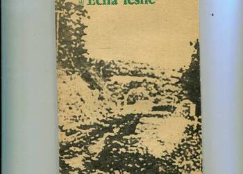 Echa leśne Różewicz