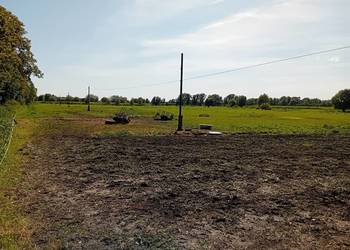 Syndyk sprzeda udziały w grunatach Żurawiec, Żółwiniec, Jurandowo