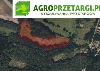 Dzierżawa 8,26 ha gruntu rolnego