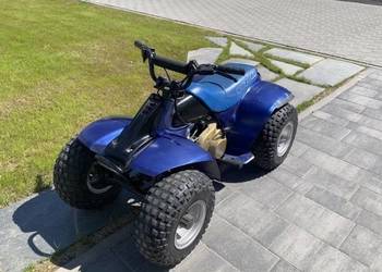 Suzuki lt 50 mini quad