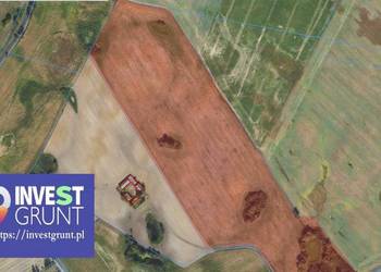 [8,43 ha] przetarg na dzierżawę gruntów rolnych