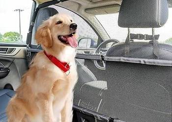 Siatka oddzielająca dla psa do samochodu 142,2 cm szerokości