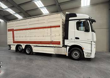 Mercedes 2545 do bydła