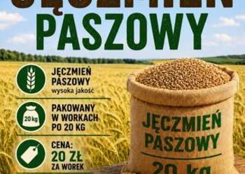 Jęczmień jary paszowy Tilmor