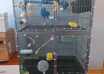 Klatka Yaheetech z podstawowym wyposażeniem