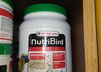 Versele laga Nutri Bird A21 do ręcznego karmienia 800g