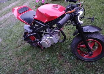 Mini scigacza pocket bike