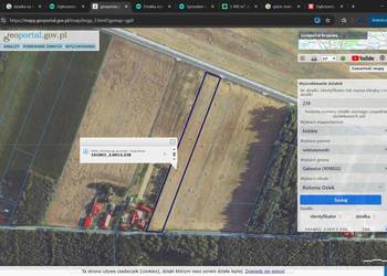 DZIAŁKA 7153 m² – WARUNKI ZABUDOWY – MEDIA – ASFALT – LAS