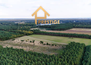 Kompleks działek budowlanych 1,45ha przy lesie, 900m od jeziora– Żółwieniec