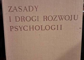 Zasady i drogi rozwoju psychologii - Rubinsztejn S.L.