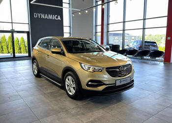 Opel Grandland X 1.2Turbo 130KM M6 2018/2019 r., salon PL, 115tys.km przeb…