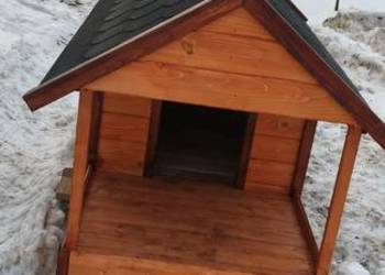 Buda dla dużego psa