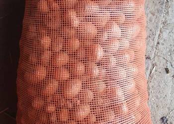 Sprzedam ziemniaki paszowe, Pawłokoma